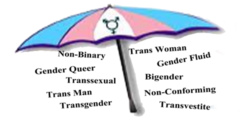 image - an umbrella in the trans flag colours with terms covered listed underneath. 